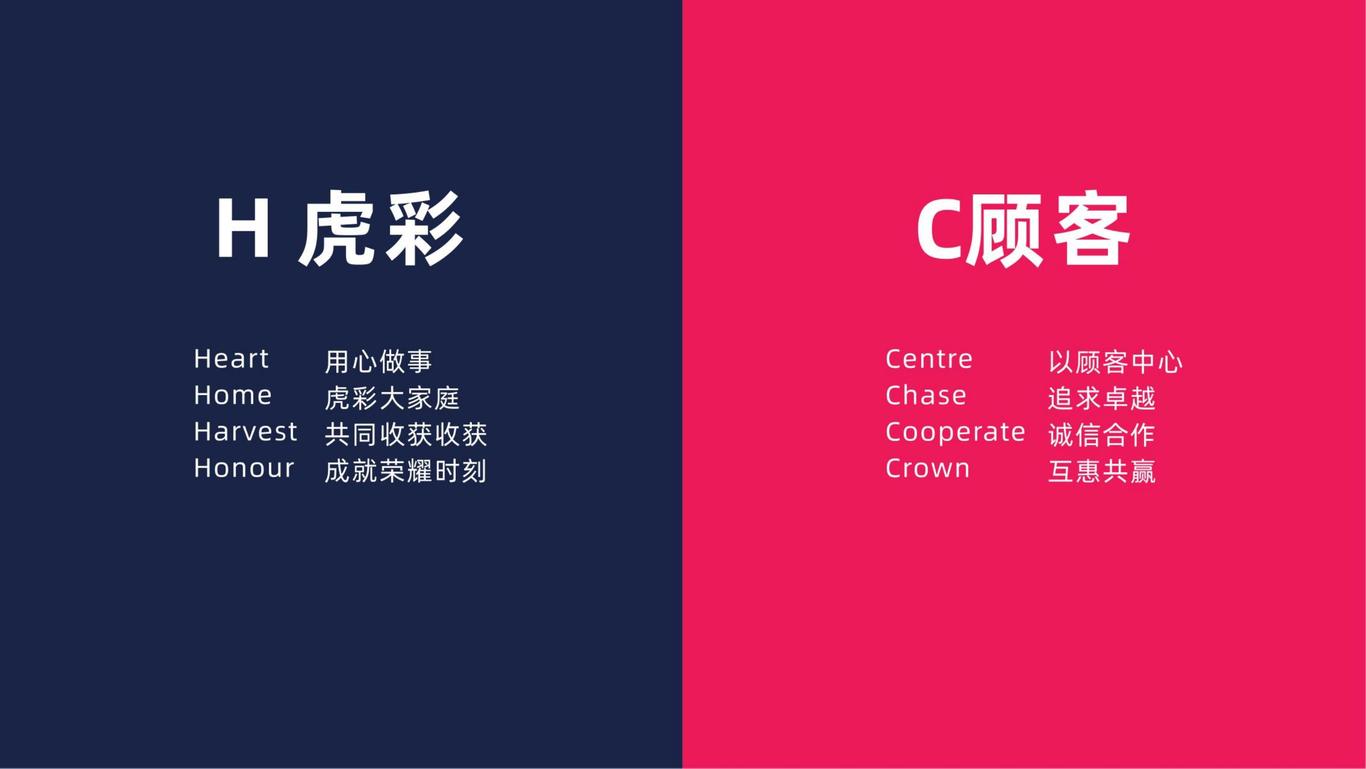 虎彩集團品牌形象設計圖12