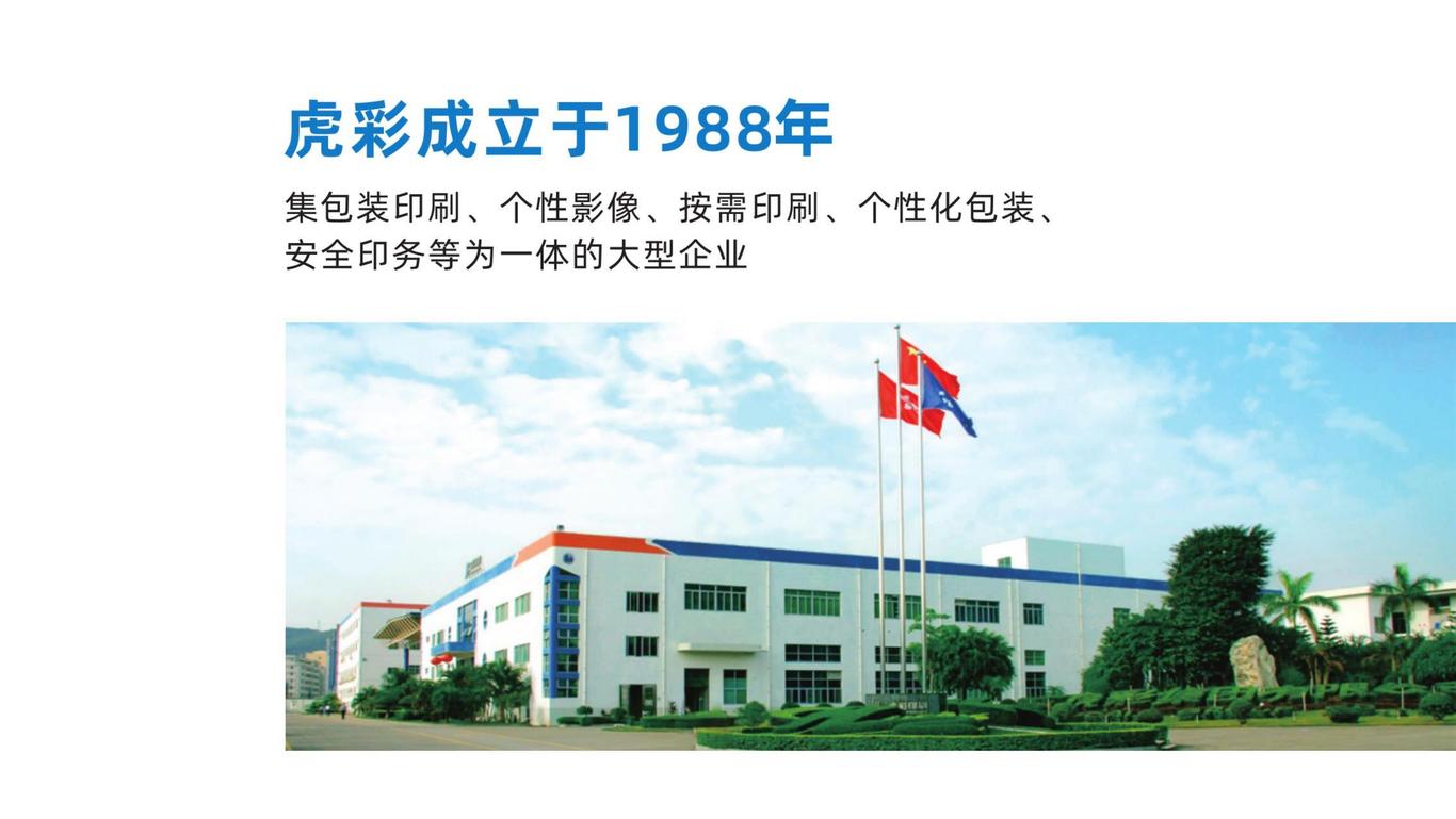 虎彩集團品牌形象設計圖5