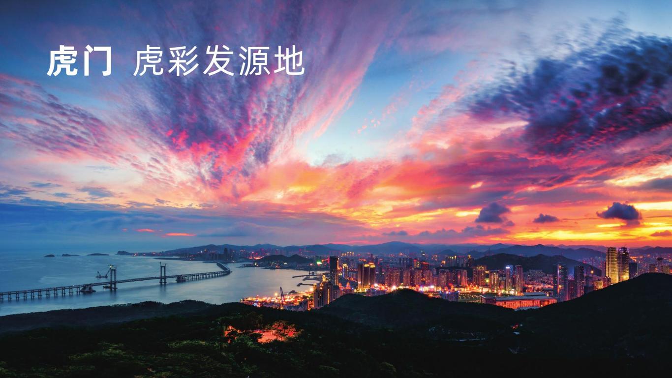 虎彩集團品牌形象設計圖0