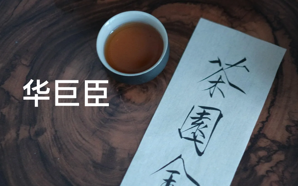 華巨臣茶博會(huì)