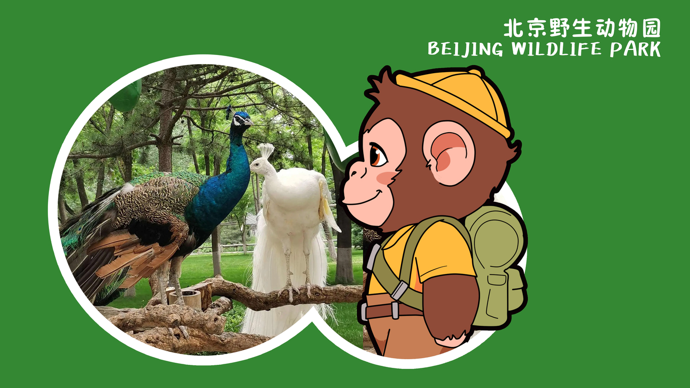 北京動物園ip圖2