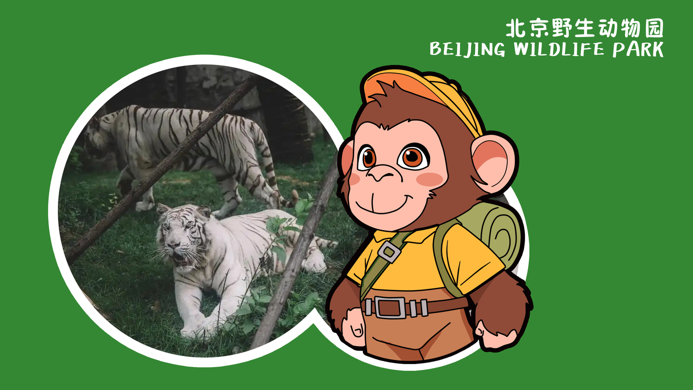 北京動物園ip圖3