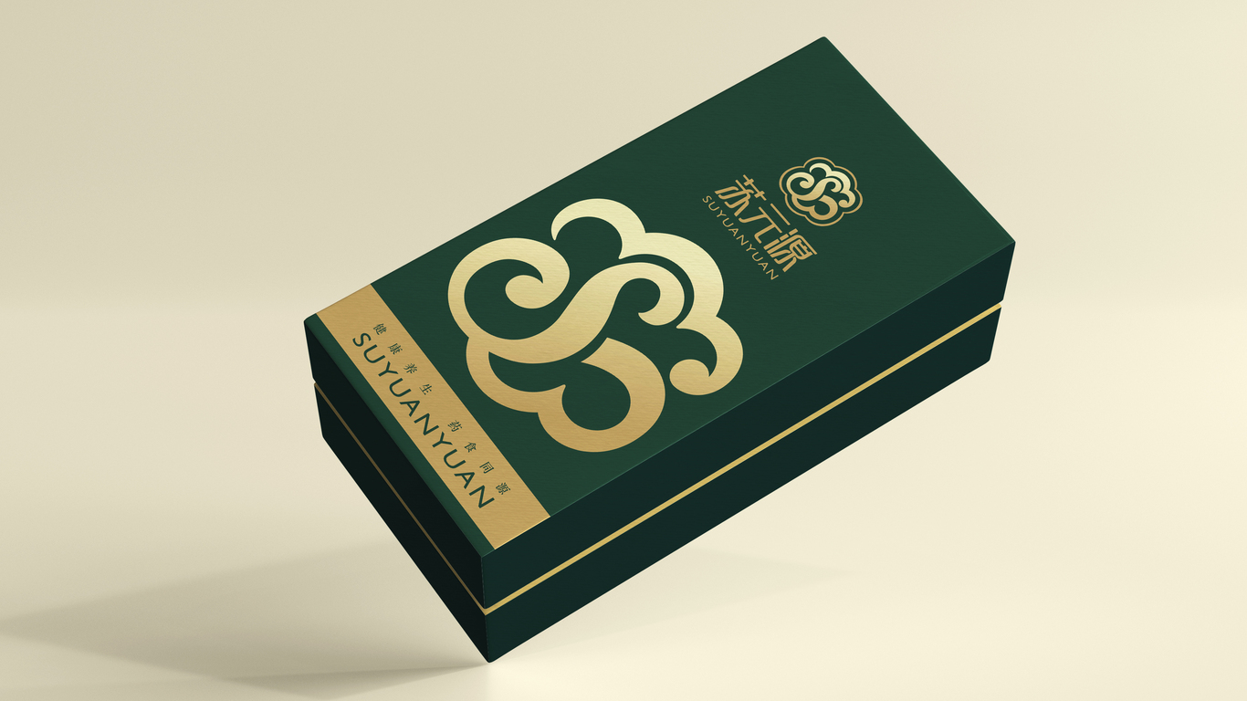 一款LOGO設(shè)計中標(biāo)圖12