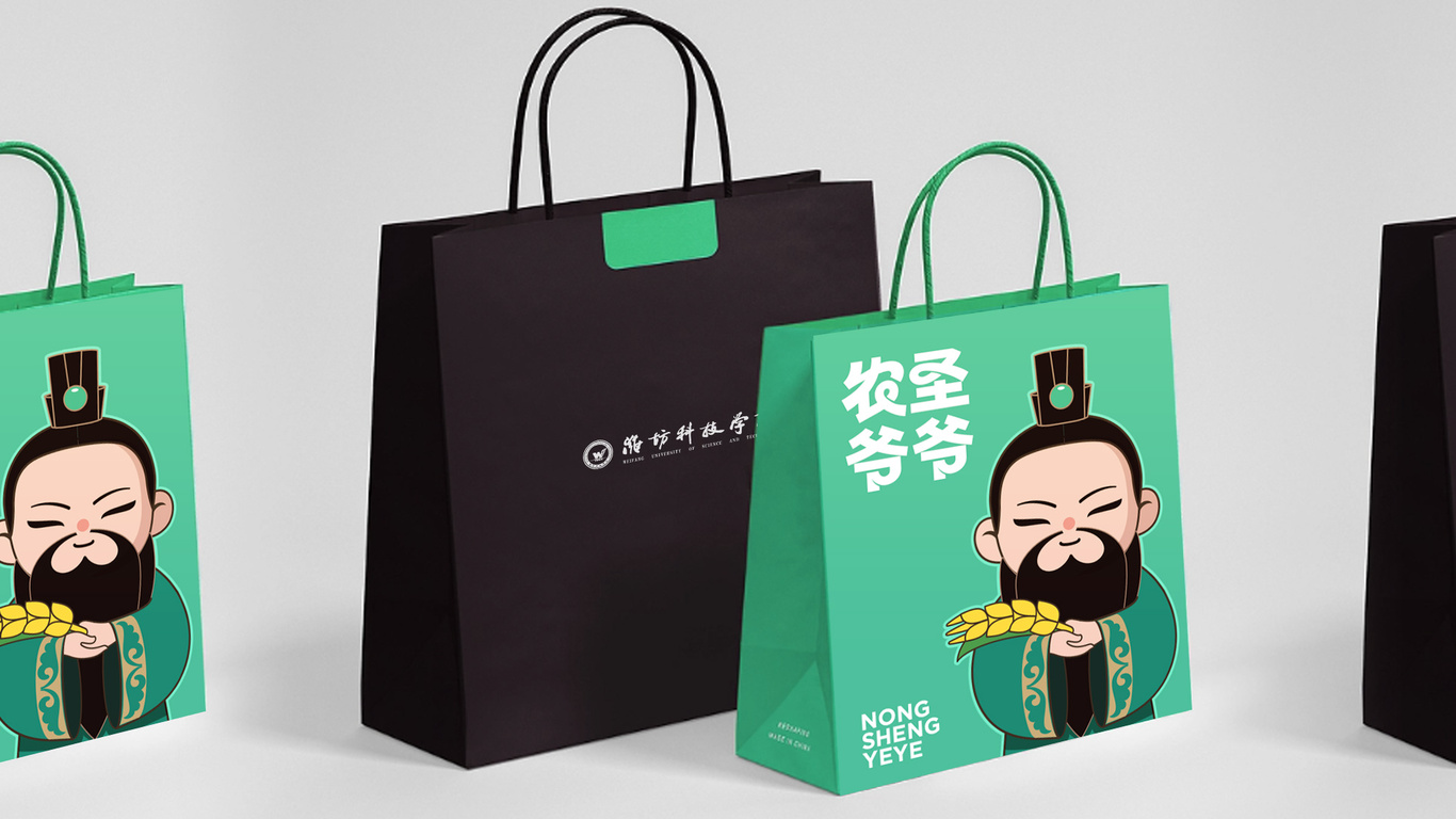 一款大學(xué)的吉祥物設(shè)計中標(biāo)圖3