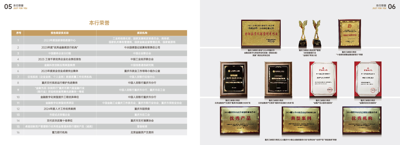 重慶三峽銀行手冊圖4