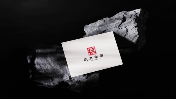 襄阳芳城装饰有限公司”贰九年华“商标设计图10