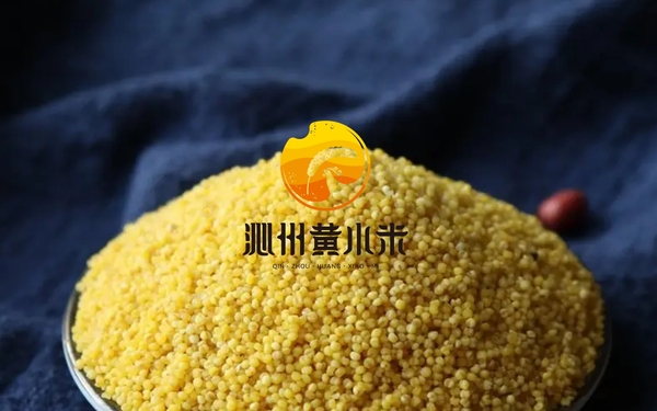 沁州黃品牌升級(jí)logo設(shè)計(jì)+VI設(shè)計(jì)