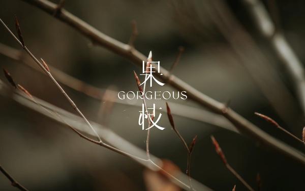 果枝GORGEOUS品牌設計