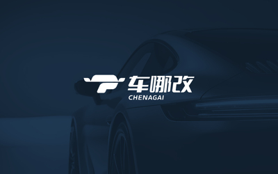 车哪改