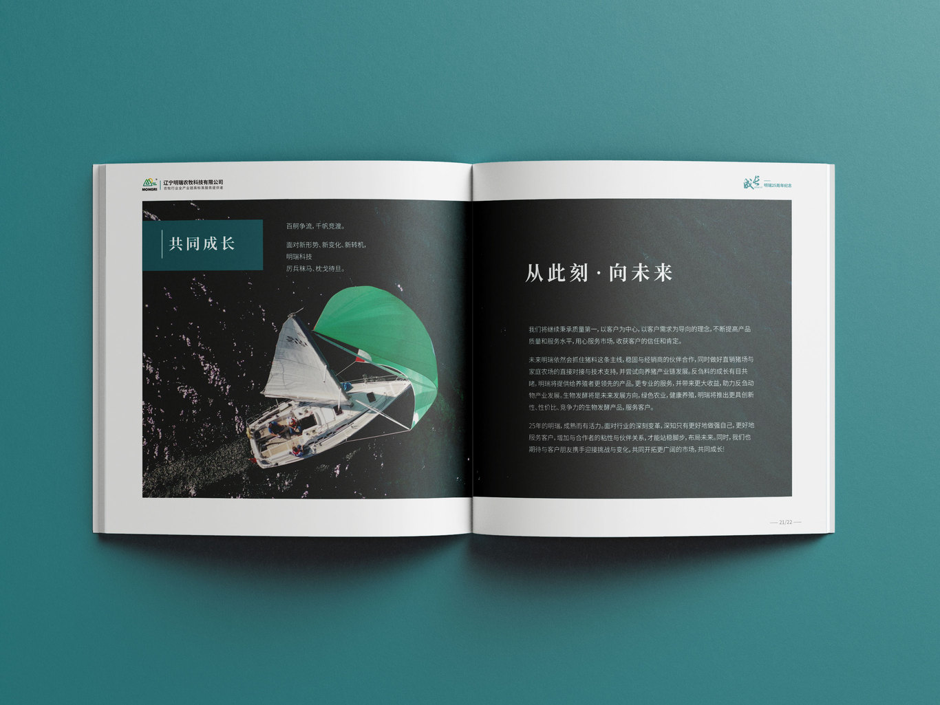明瑞科技25周年纪念画册图7