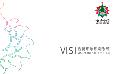 云南白藥集團vis