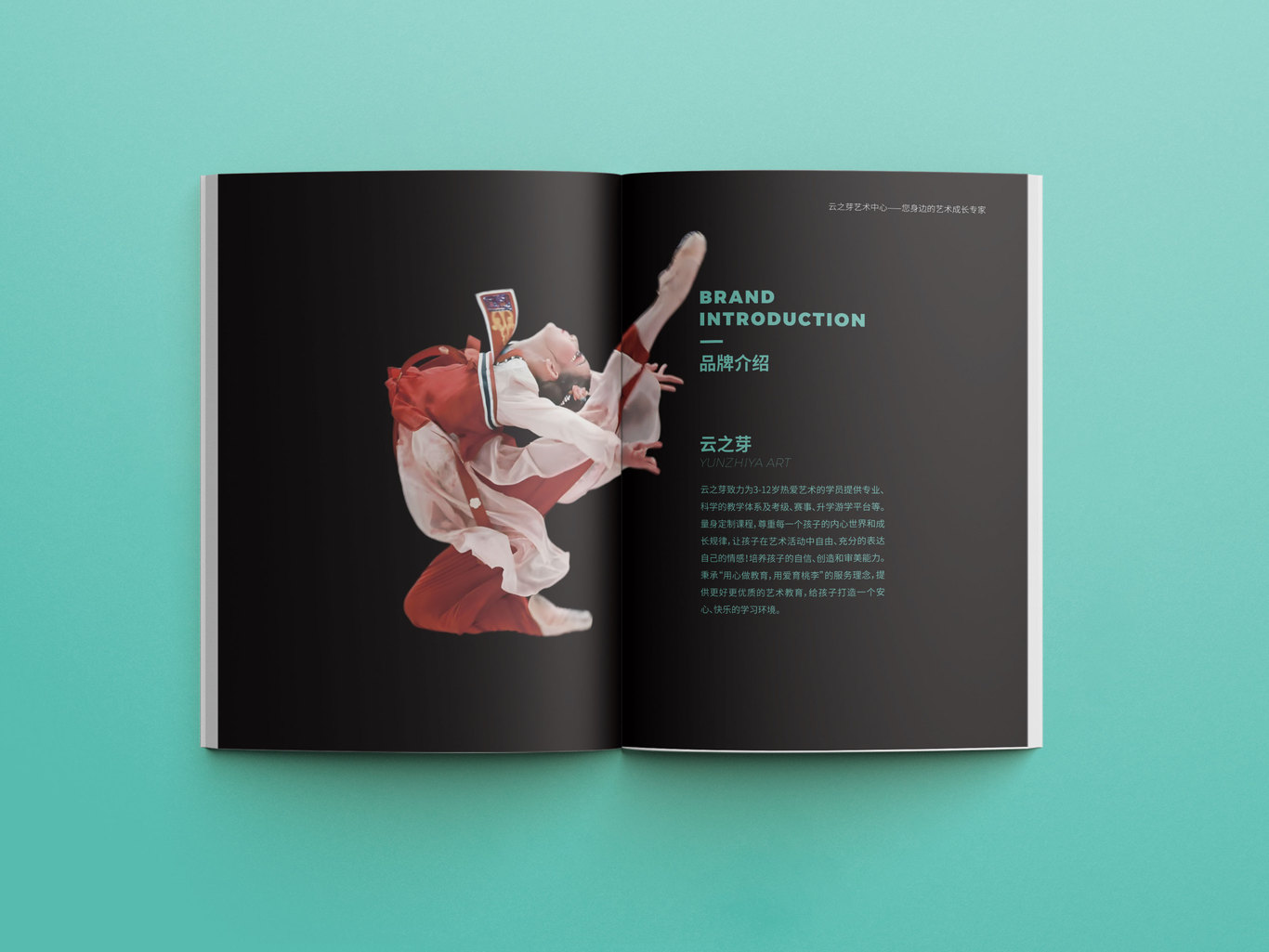云之芽艺术培训 品牌画册设计图1