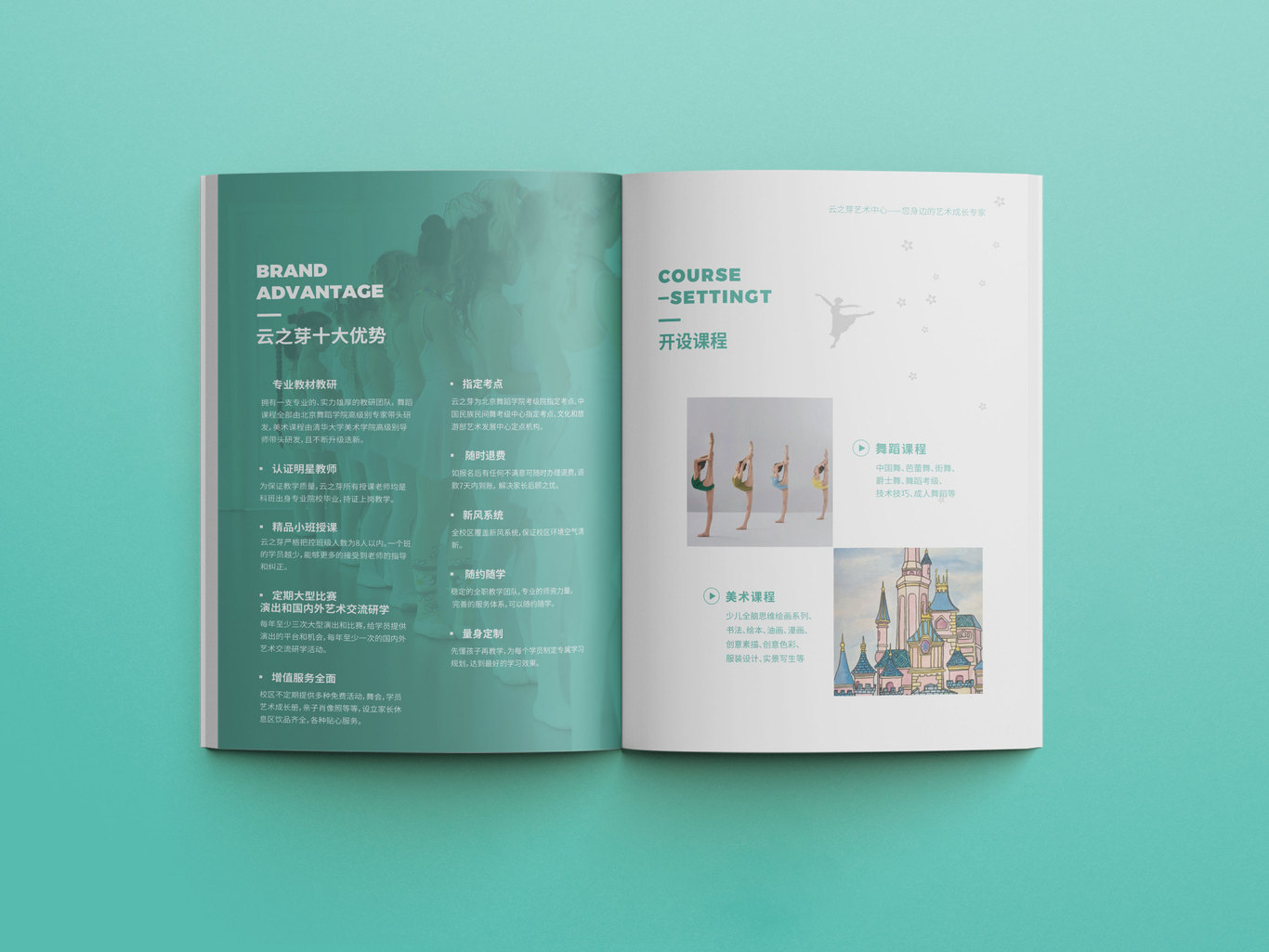 云之芽艺术培训 品牌画册设计图3