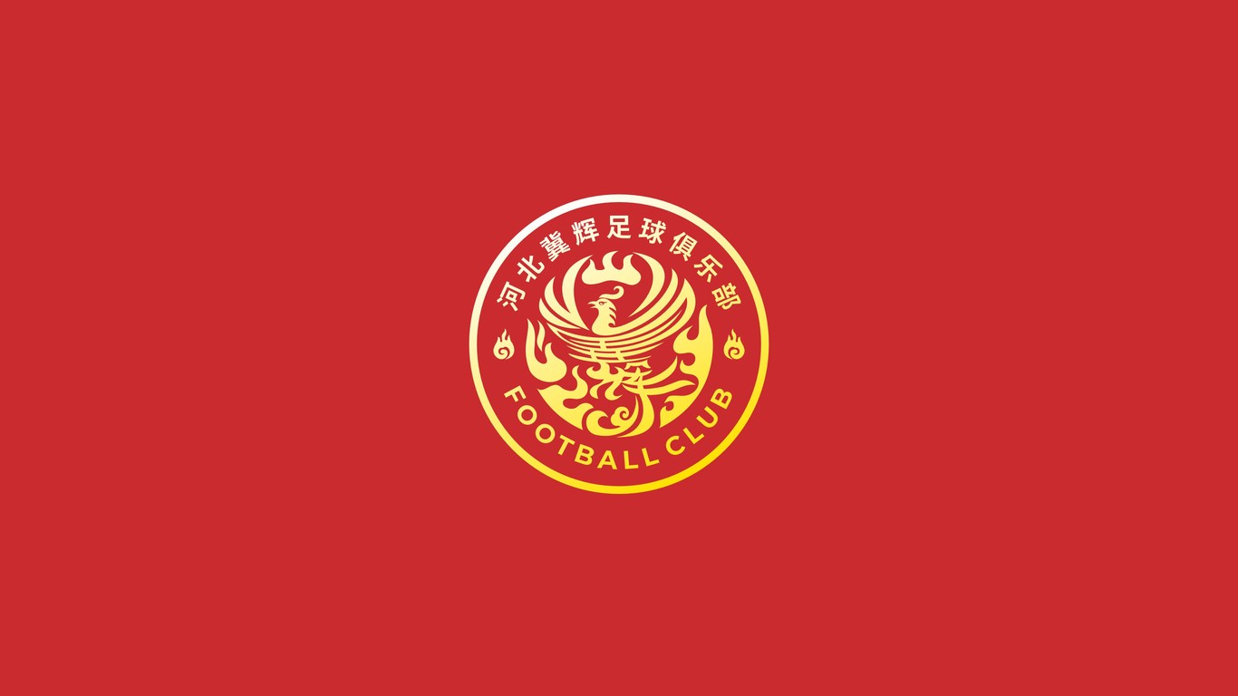 一款LOGO设计中标图0