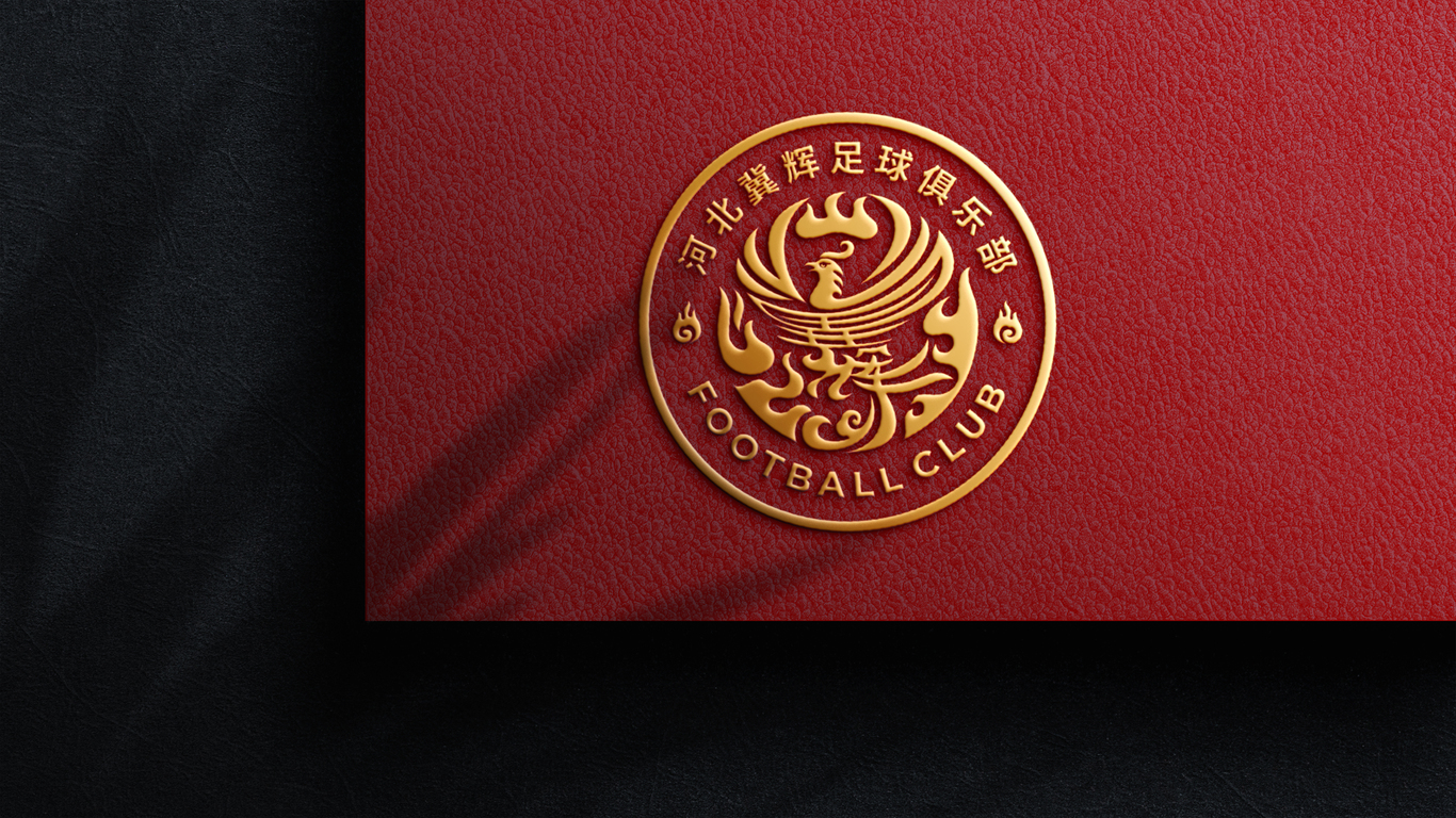 一款LOGO设计中标图5