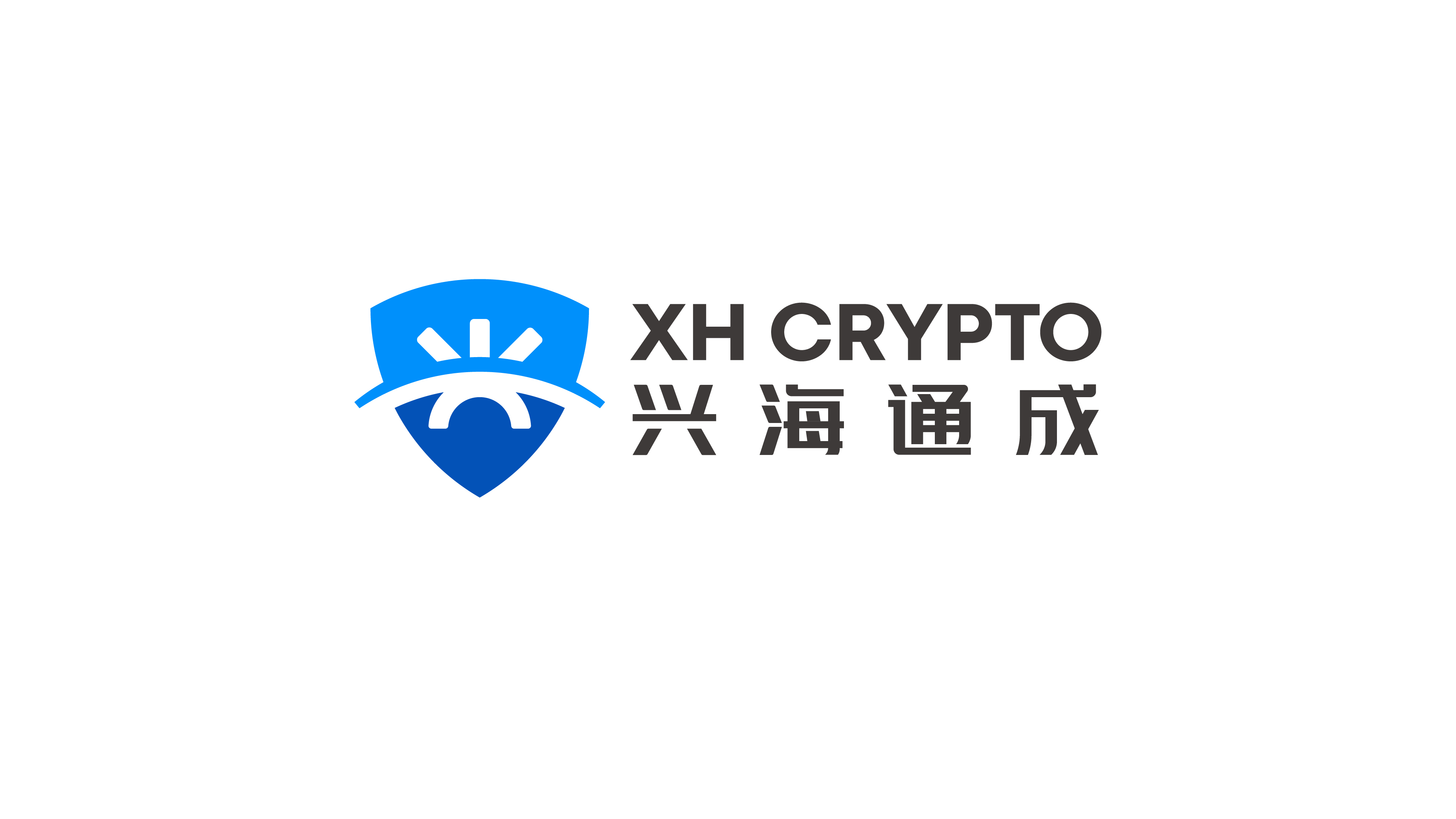 信息安全品牌LOGO設計