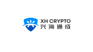 信息安全品牌LOGO設(shè)計