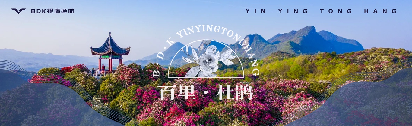 银鹰通航旅游活动通航票设计图1