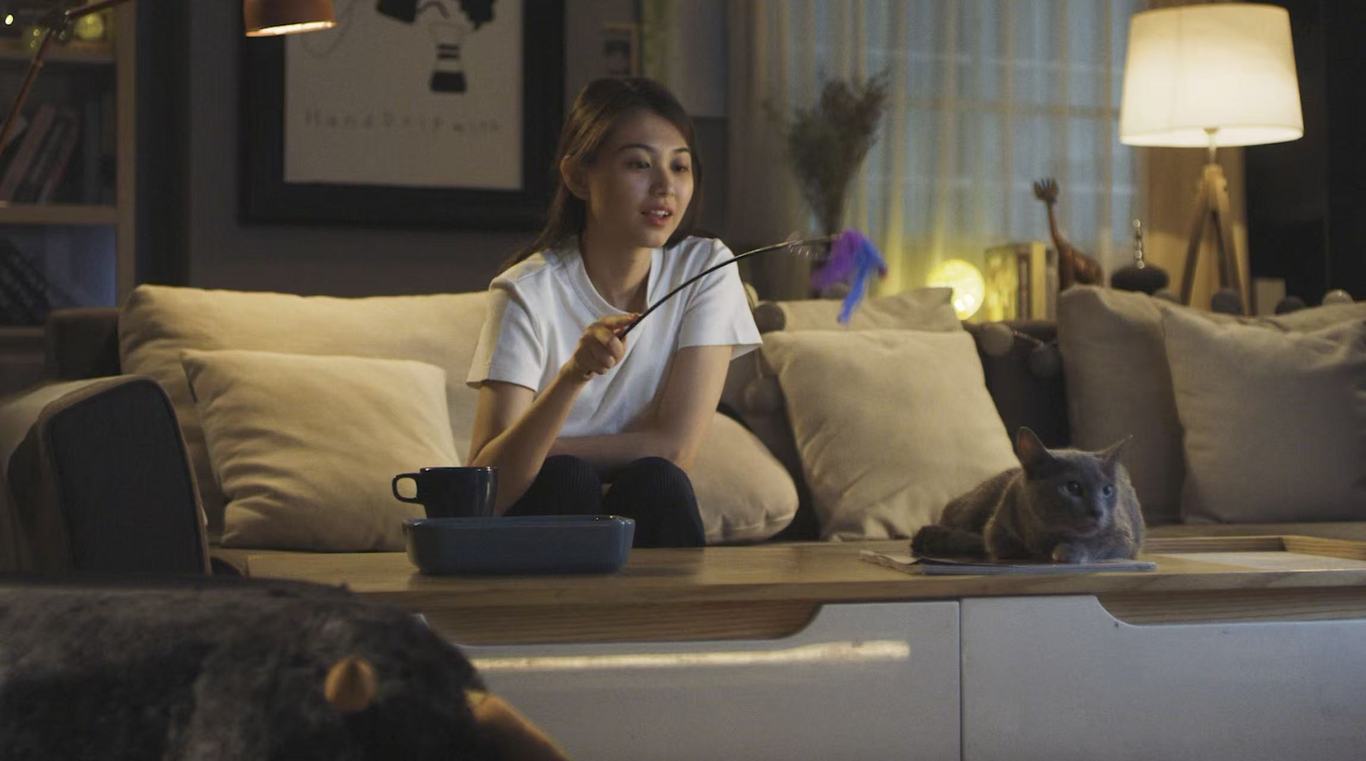 希宝宠物广告TVC图0