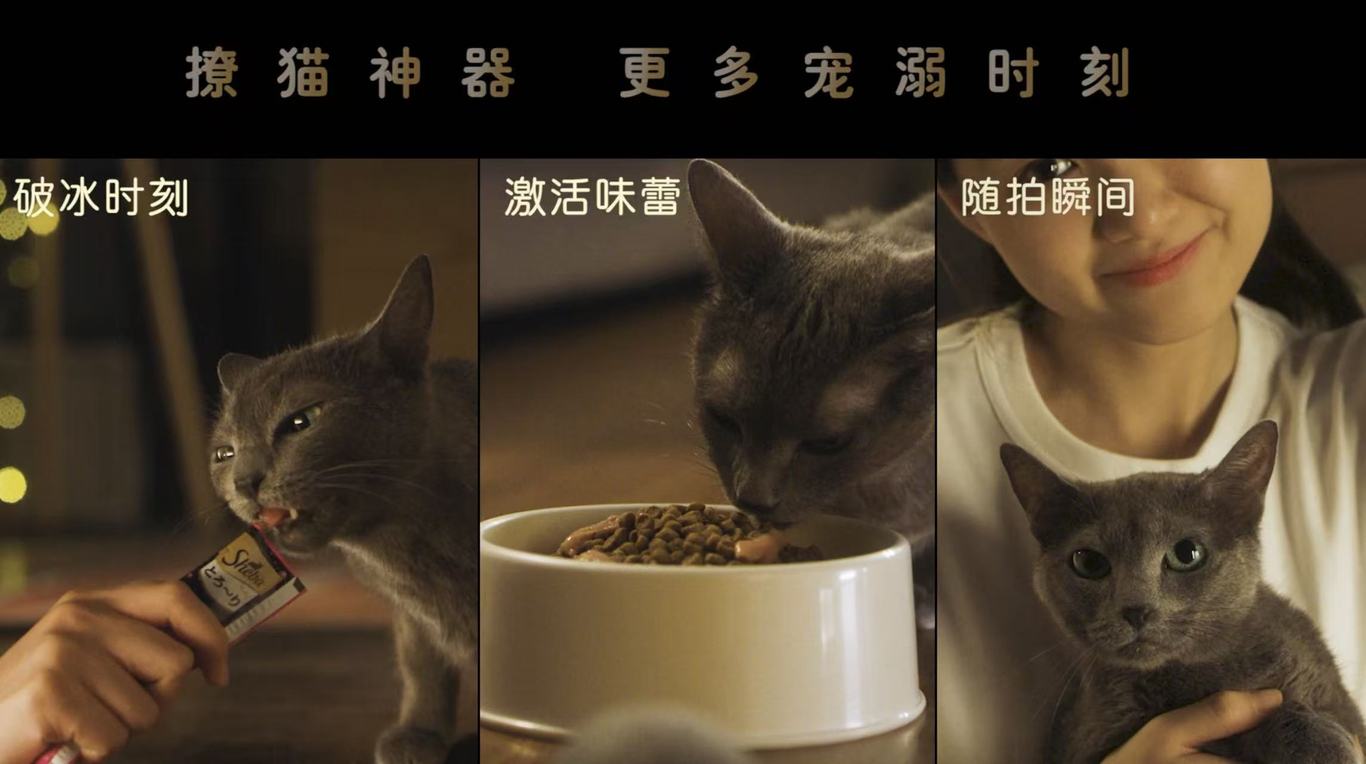 希宝宠物广告TVC图1