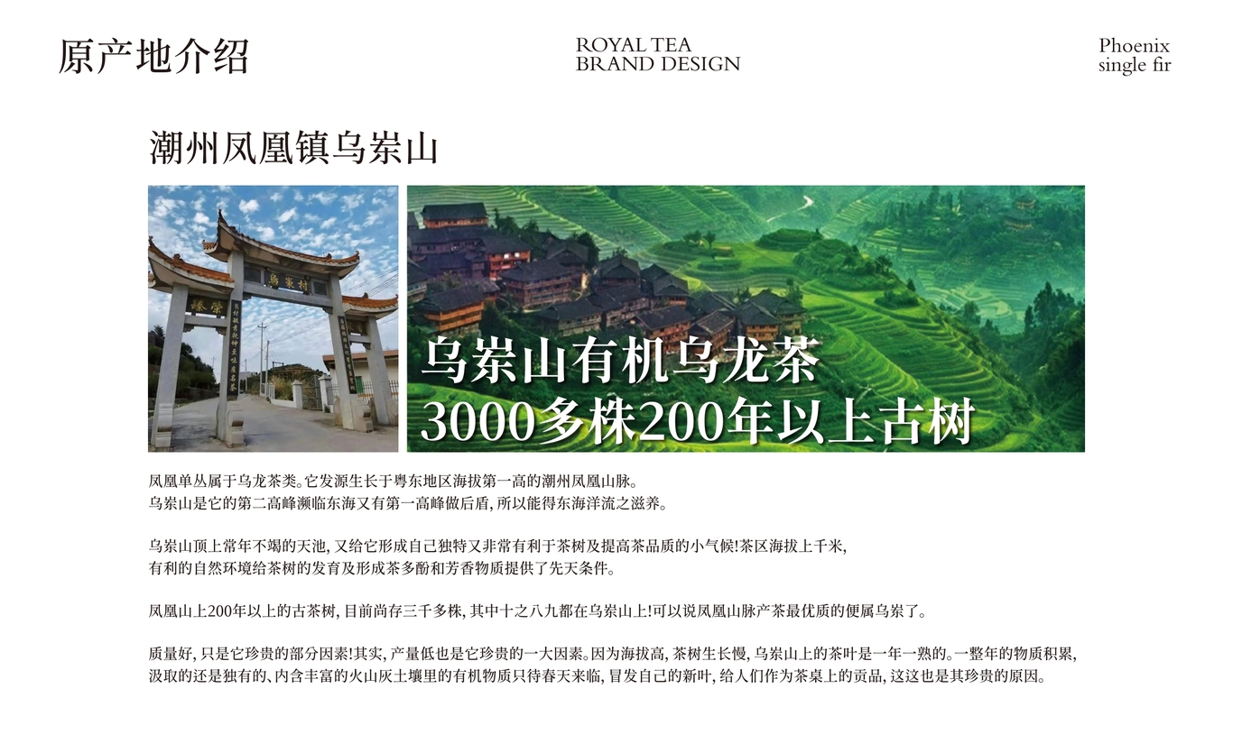 【烏崠老寨】茶葉包裝設計圖3