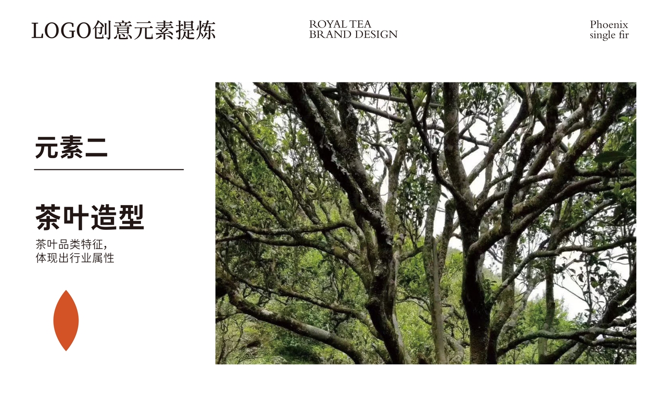 【烏崠老寨】茶葉包裝設計圖9