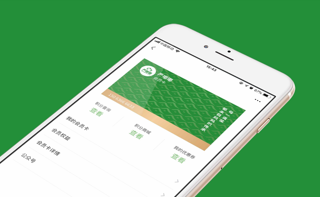 【嚴嘟嘟·家庭小廚房】品牌策劃設計圖9