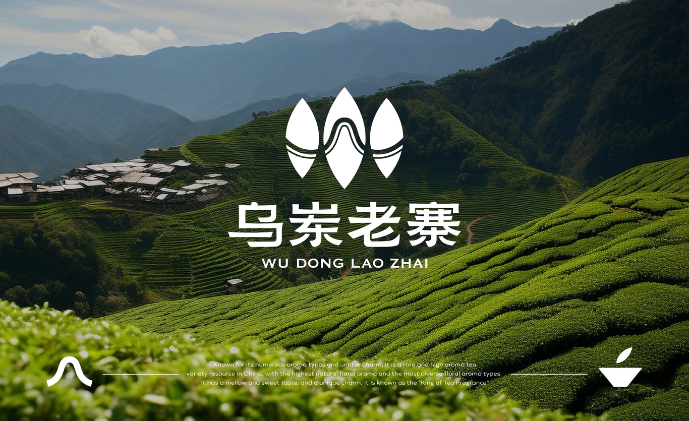 【烏崠老寨】茶葉包裝設計圖31