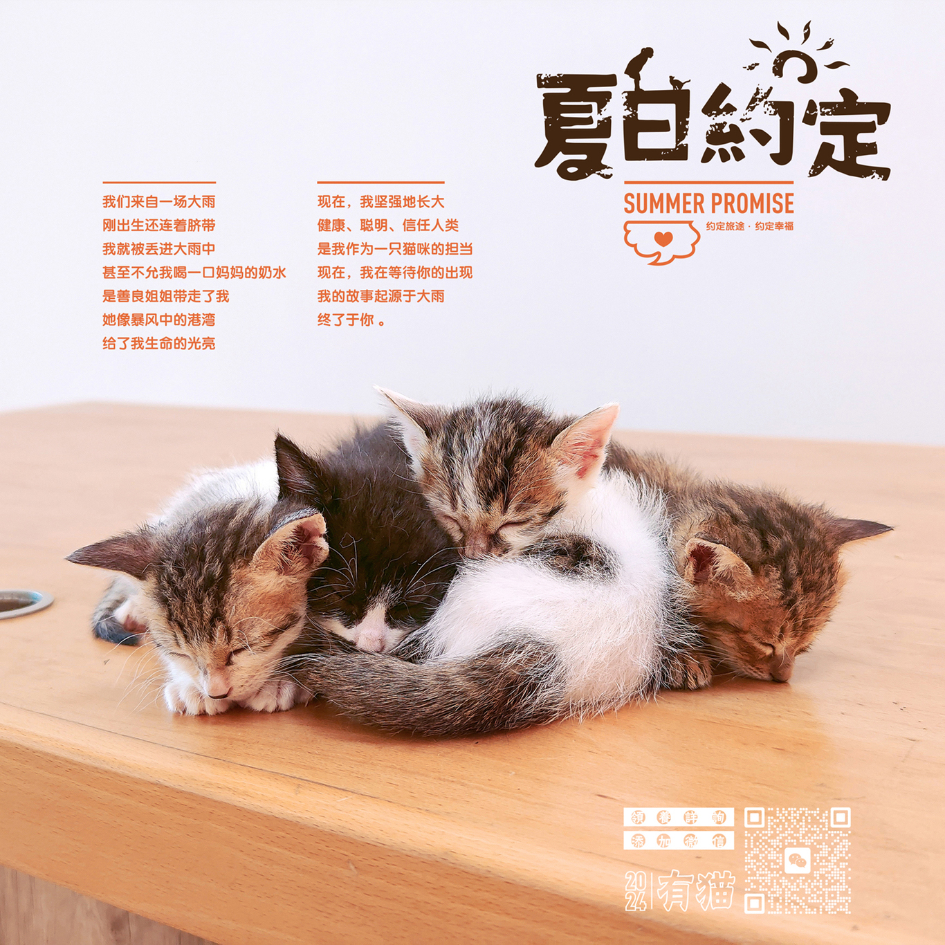 領養貓咪公益海報圖9