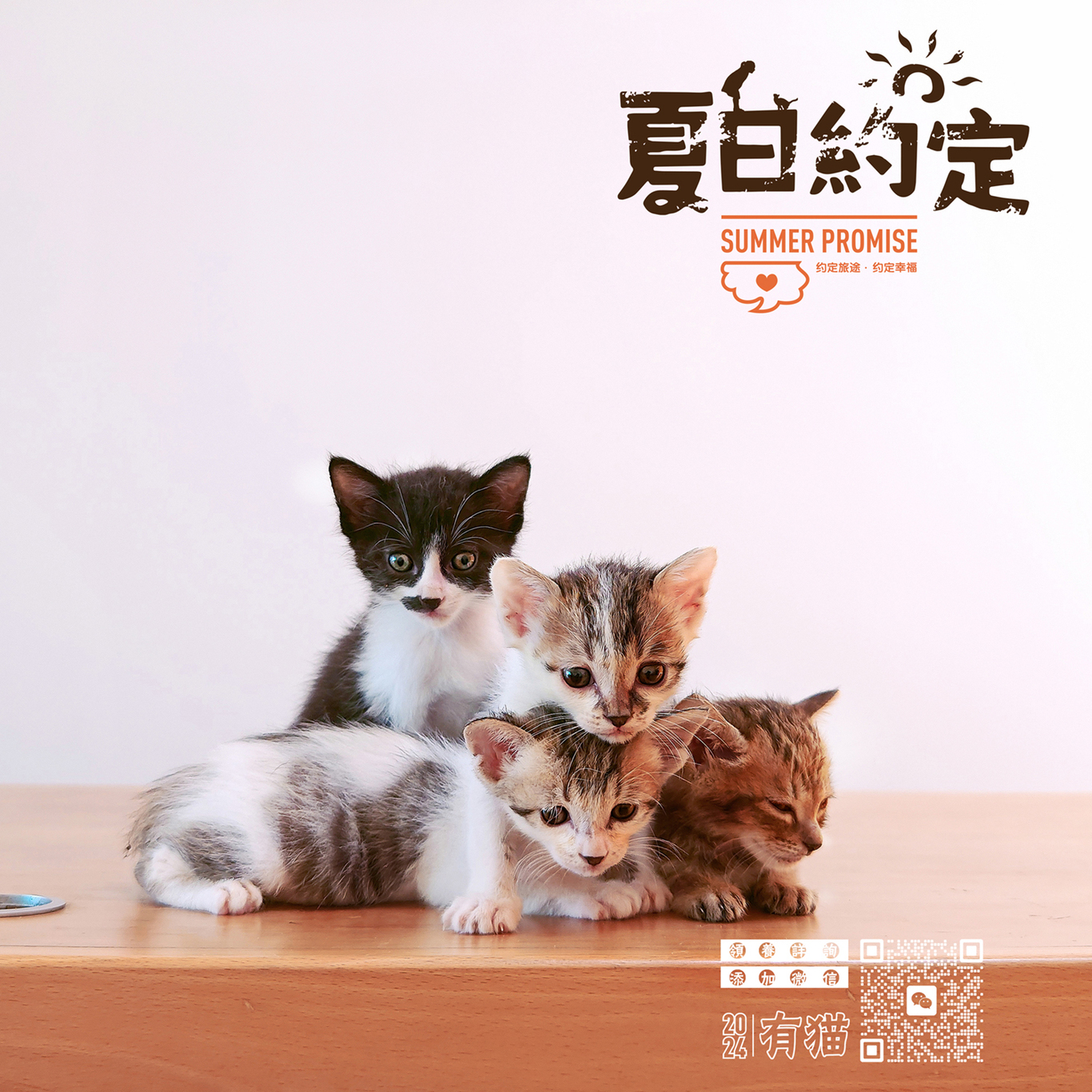 領養貓咪公益海報圖6