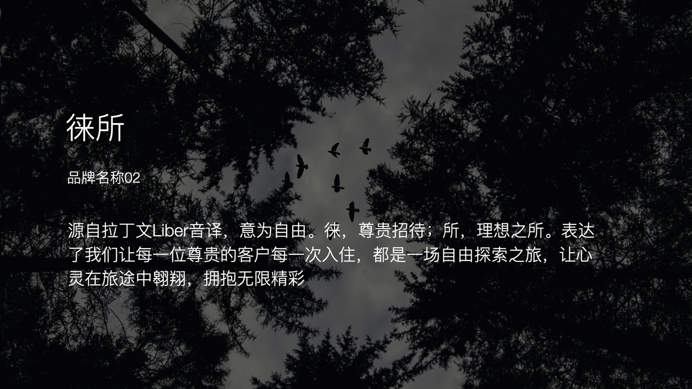 安樸集團品牌logo升級設計視覺策略建議圖5