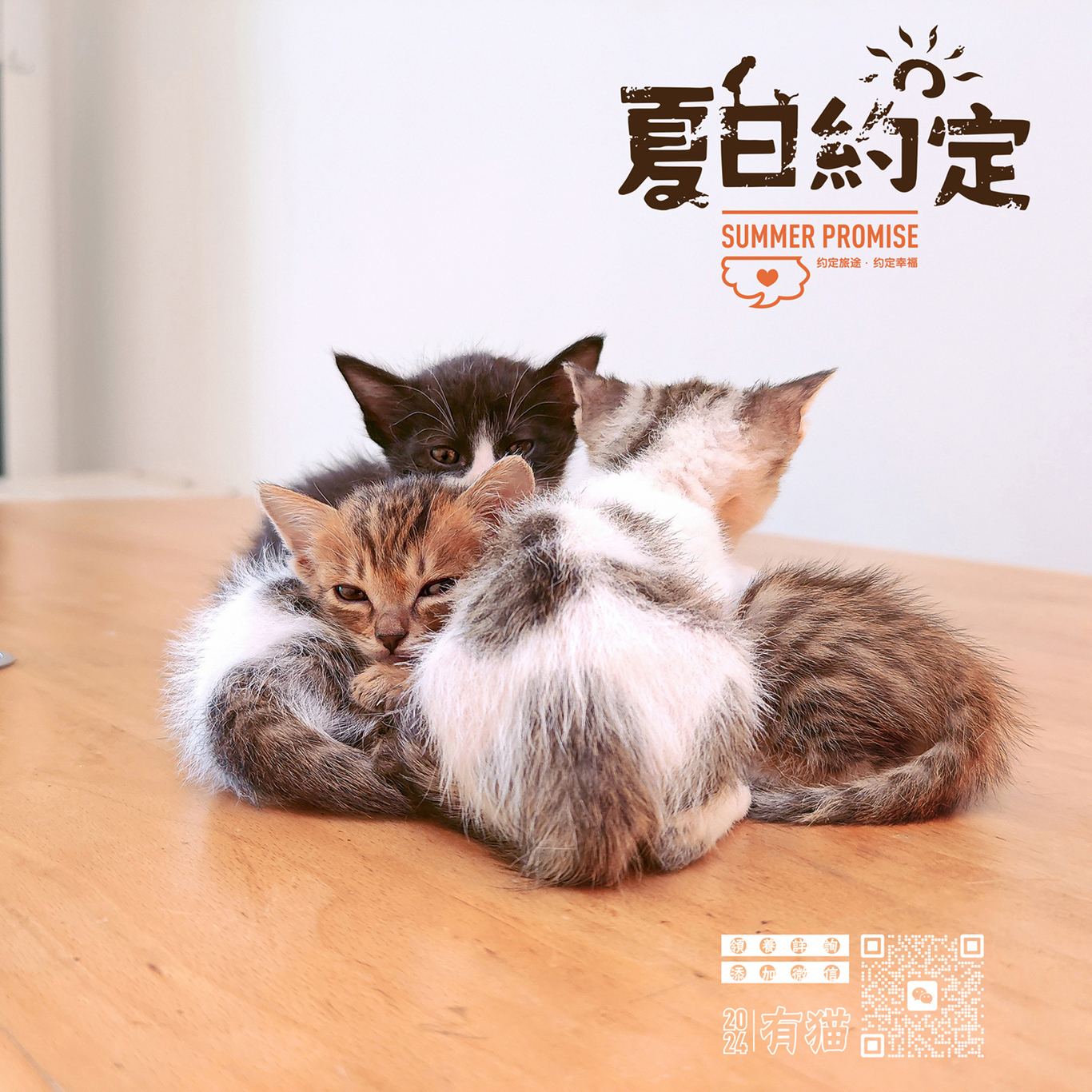 領養貓咪公益海報圖8
