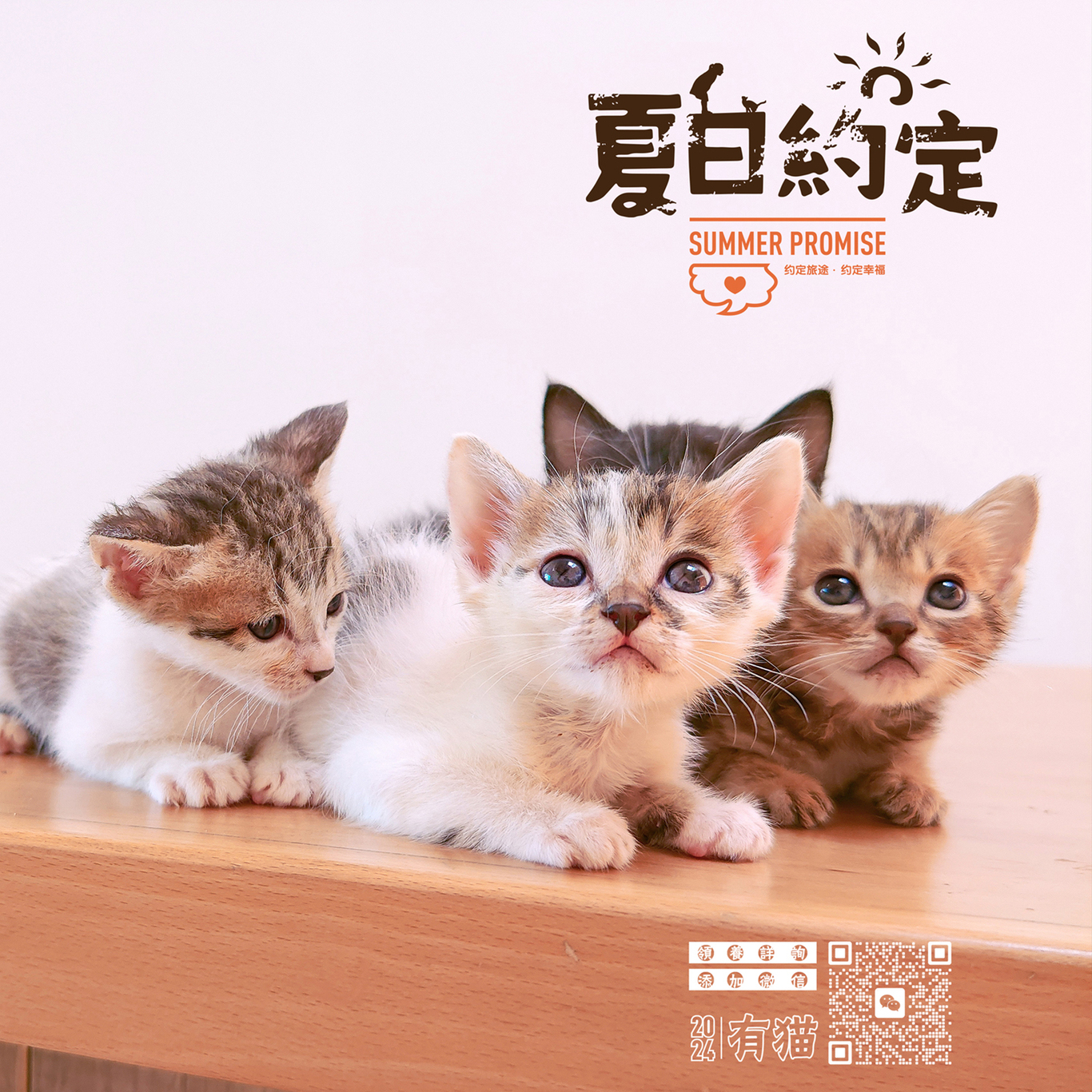 領養貓咪公益海報圖2
