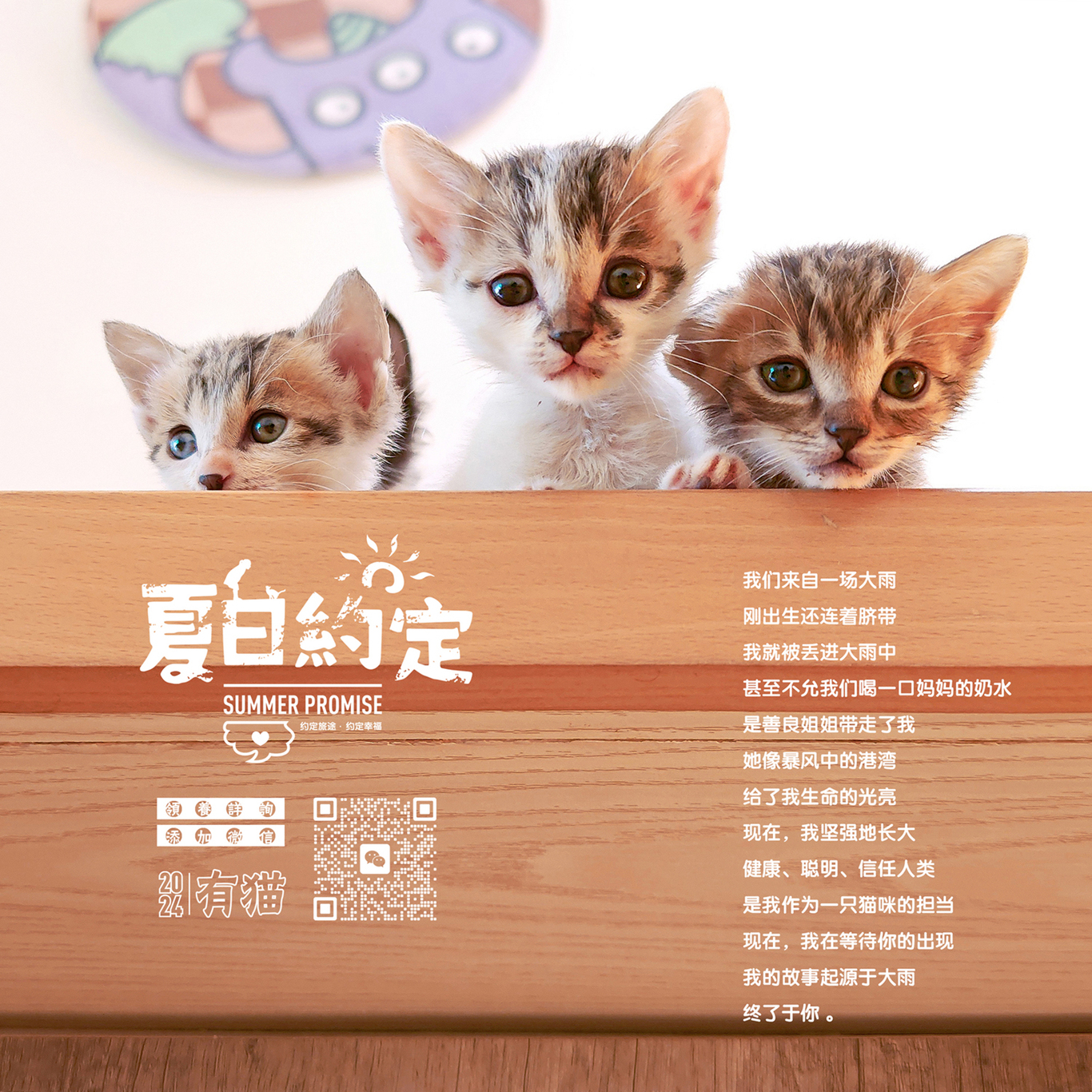 領養貓咪公益海報圖5