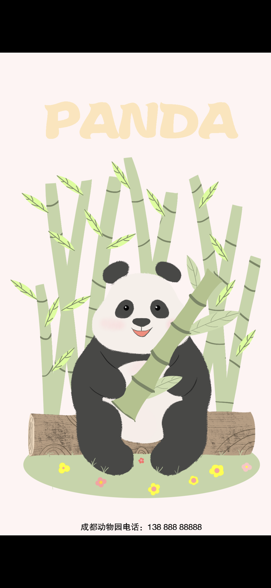 熊貓圖0