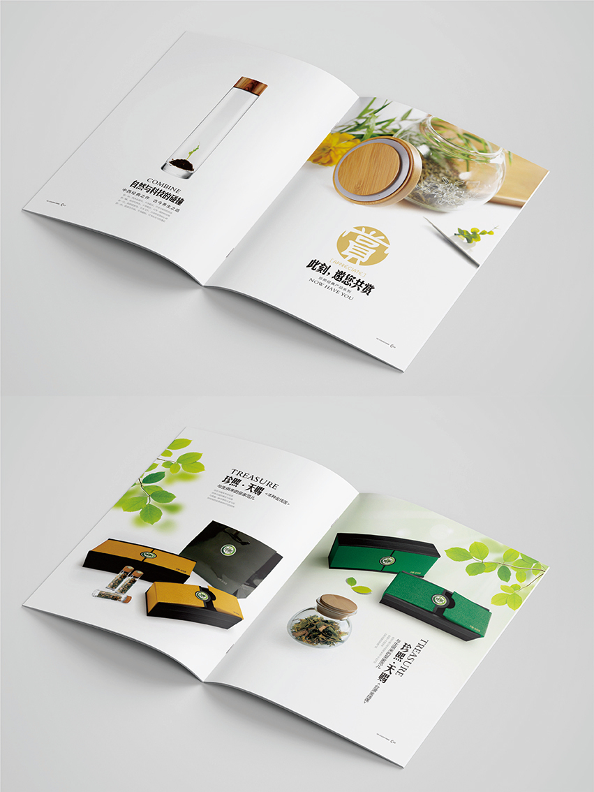 產品畫冊圖2