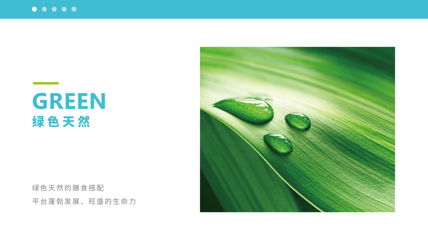 一款健康膳食平臺(tái)LOGO設(shè)計(jì)中標(biāo)圖1