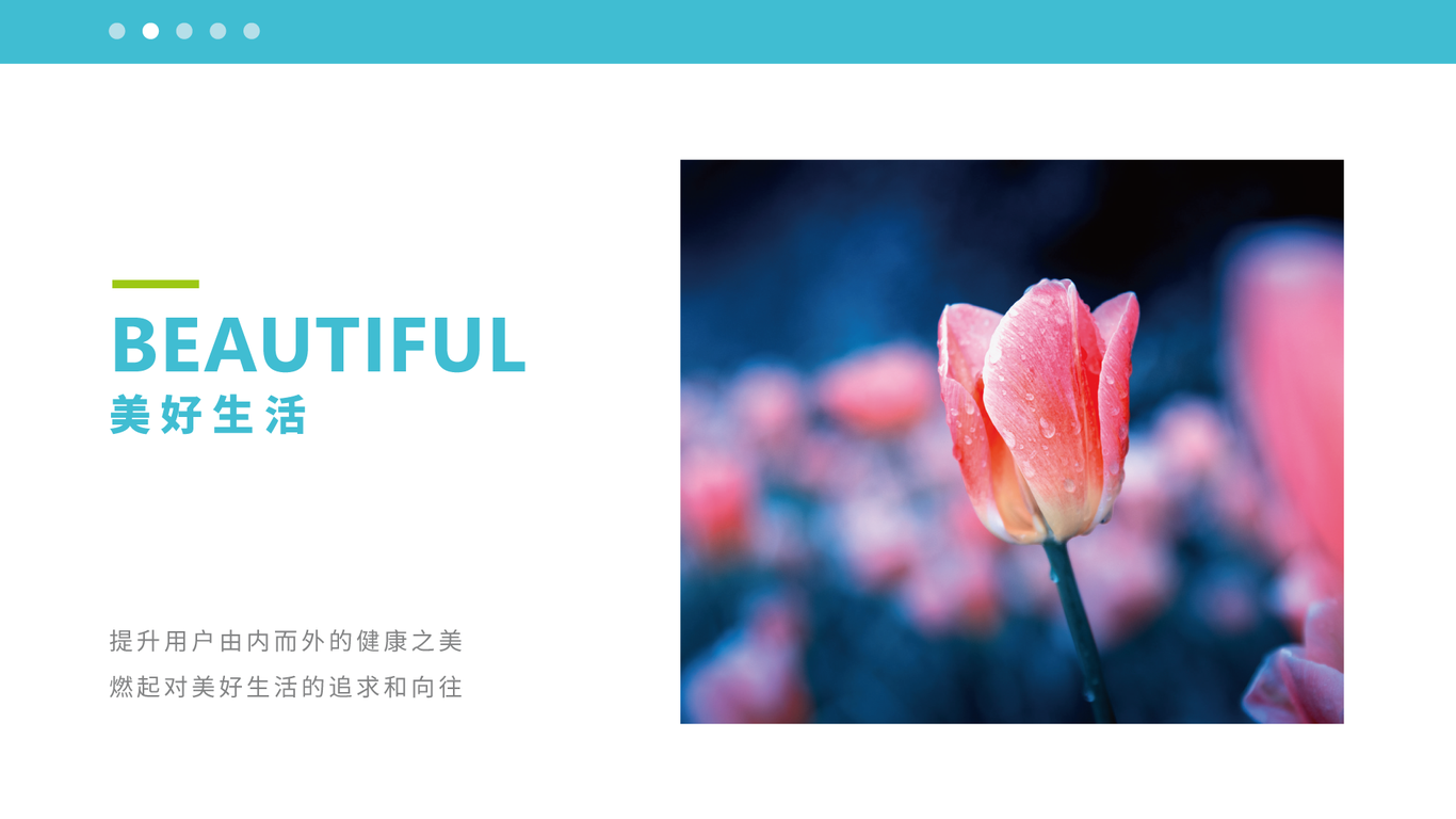 一款健康膳食平臺(tái)LOGO設(shè)計(jì)中標(biāo)圖2