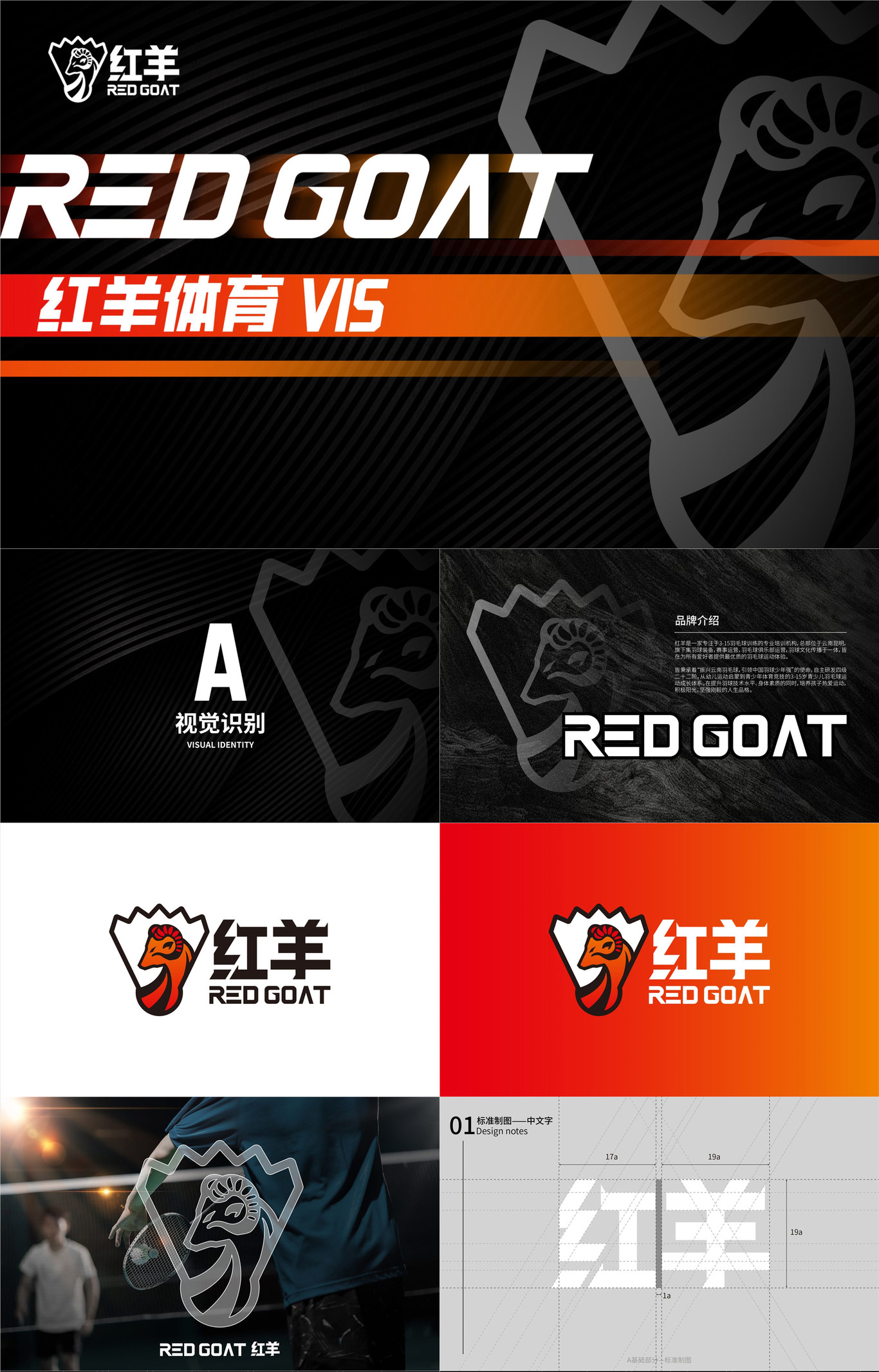 红羊体育教育VI标准化图0