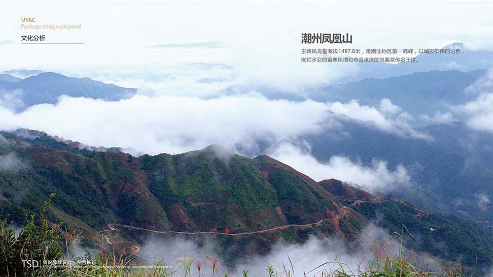 【雅活薈】茶葉包裝設計圖0