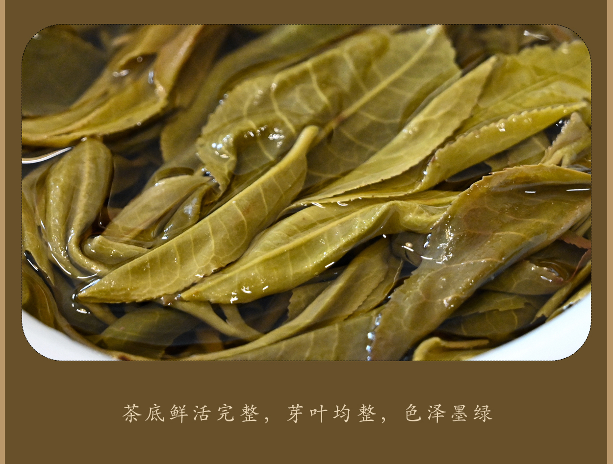 普洱茶詳情頁圖7