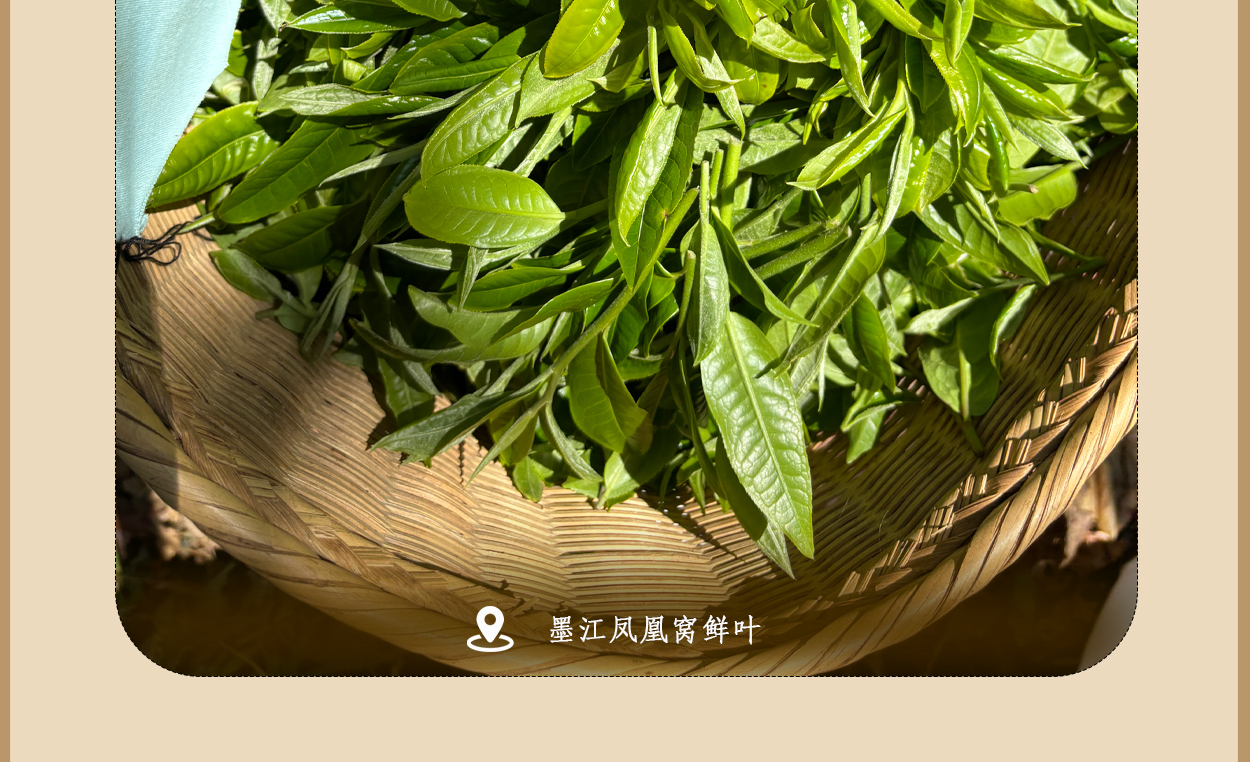 普洱茶詳情頁圖10