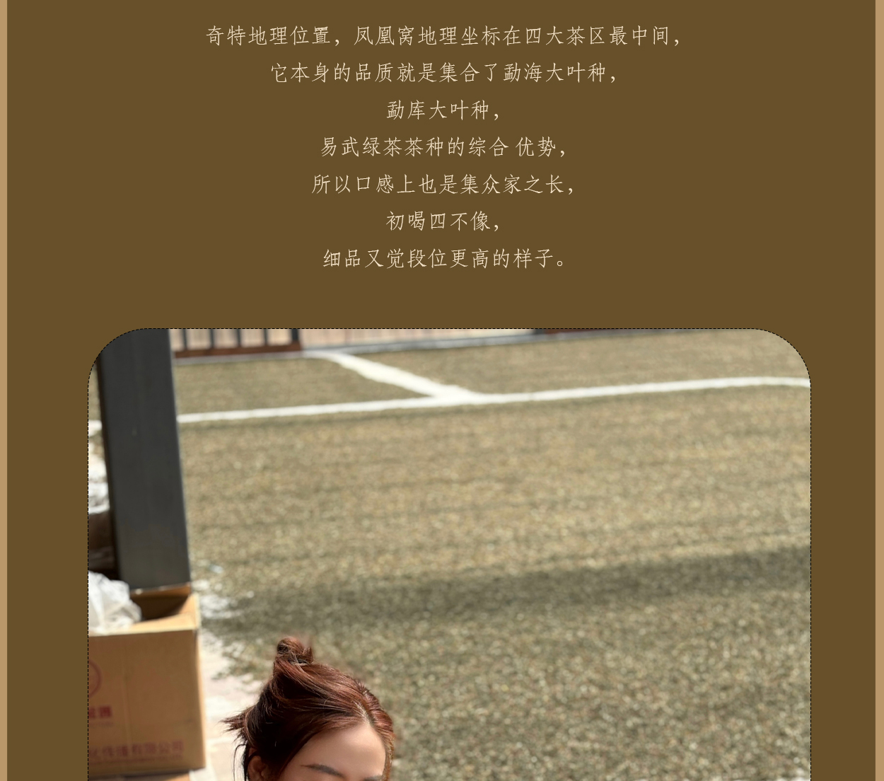 普洱茶詳情頁圖16