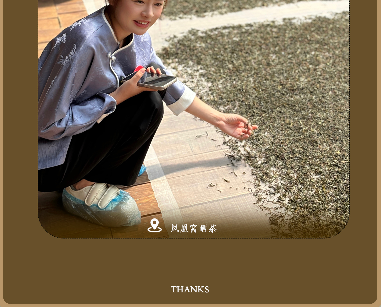 普洱茶詳情頁圖17