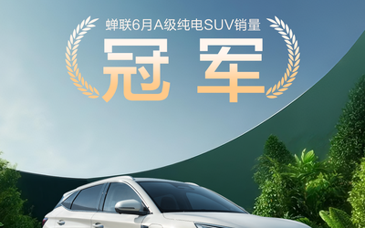 比亞迪汽車月度銷量海報