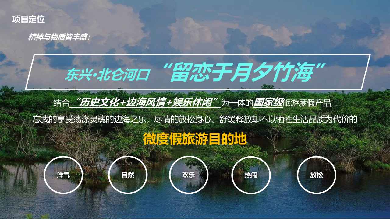 某某项目文旅商业开发策划方案图10