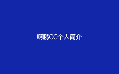 个人案例汇总