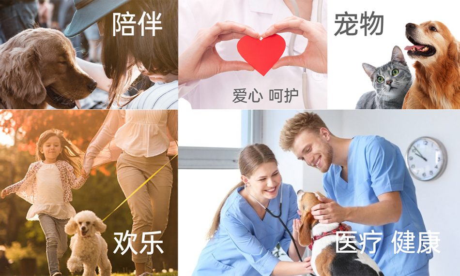 KENO肯诺宠物医院品牌设计图1