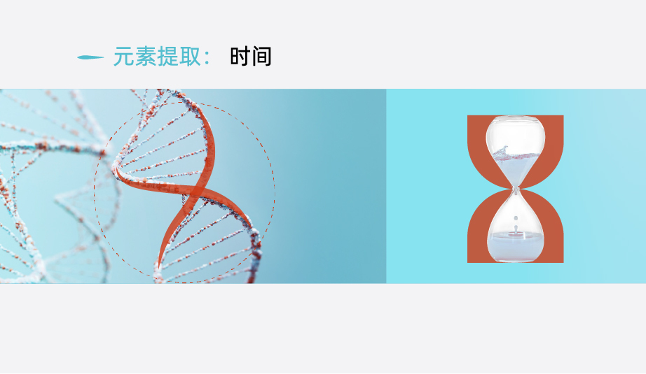 联合生命logo提案V1图7