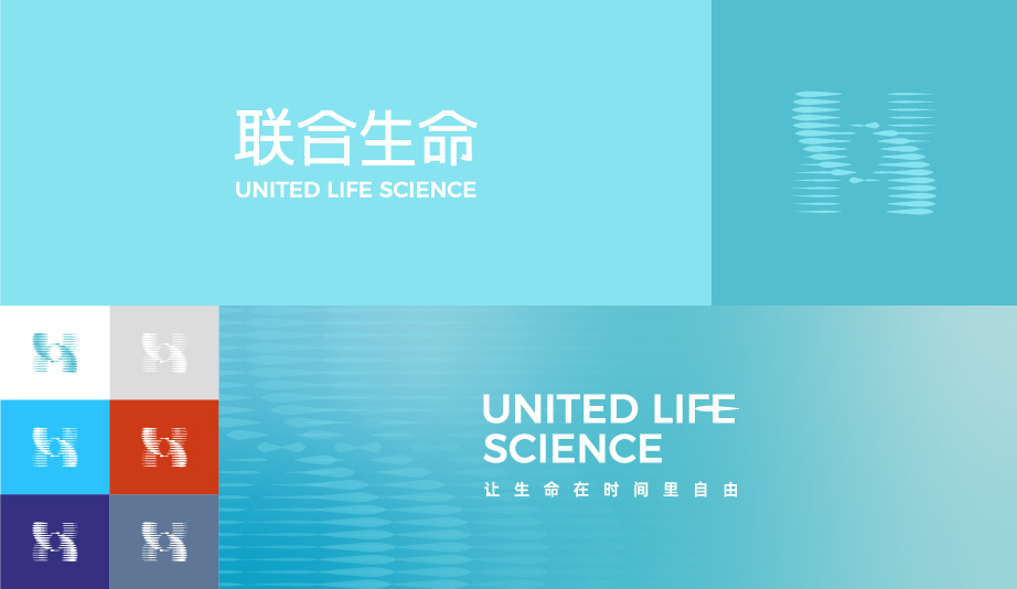 联合生命logo提案V1图13